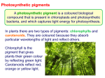 Photosynthetic pigments and experiments