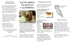 FACTS ABOUT PLAGUE IN CALIFORNIA
