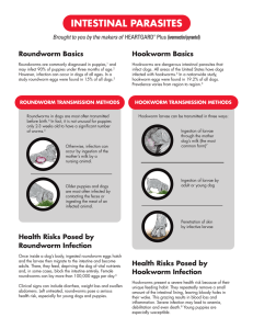 intestinal parasites