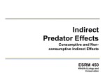 Indirect Predator Effects