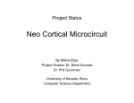Neo Cortical Microcircuit