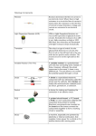 Robobug Components Resistor Resistors determine the flow of