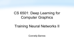 Training neural networks II