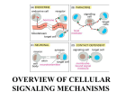 Lecture 8 Cell Signalling