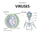 Virus and Bacteria Station Labs