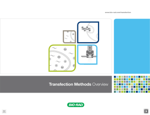 Transfection Methods Overview - Bio-Rad