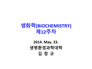 Enzymes: Principles of Catalysis