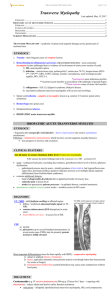 Transverse Myelopathy - Viktor`s Notes for the Neurosurgery Resident