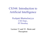 Brain perceptron - CSE, IIT Bombay