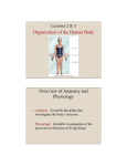 Organization of the Human Body Overview of Anatomy and Physiology