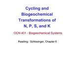 Cycling and Biogeochemical Transformations of N, P, S, and K