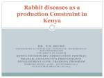 Rabbit diseases as a production Constraint in