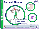 Diet and Fitness - mnwikiks3scienceyear2
