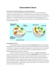 Endosymbiotic Theory