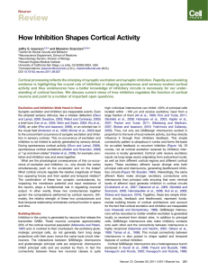 How Inhibition Shapes Cortical Activity