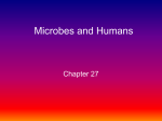 Microbes and Humans
