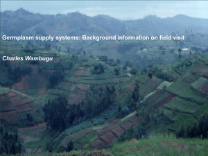 Germplasm supply systems: Background information on field visit