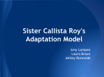 Sister Callista Roy`s Adaptation Model
