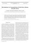 Mechanisms for transmission of infectious salmon anaemia (ISA)