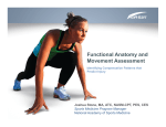 Functional Anatomy and Movement Assessment