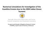 Tsunami Wave Impacts on Coastal Morphological Changes and