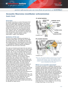 Acoustic Neuroma (vestibular schwannoma) basic level