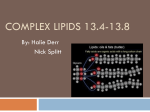 Complex Lipids