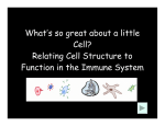 What`s so great about a little Cell?