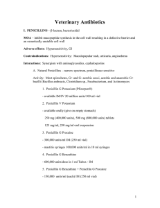 Veterinary Antibiotics