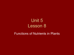 Unit 5 Lesson 8