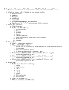 DNA intro review worksheet