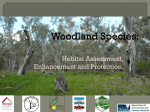 Habitat Assessment, Enhancement and Protection.