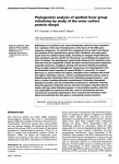 Phylogenetic analysis of spotted fever group rickettsiae by study of