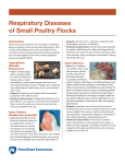 Respiratory Diseases of Small Poultry Flocks
