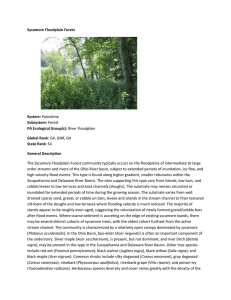 Sycamore Floodplain Forest - Pennsylvania Natural Heritage Program
