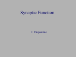 Targets for dopaminergic ligands