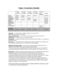 Kitten Vaccination Schedule