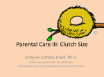Parental Care II: Clutch Size, Incubation