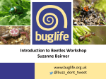 Introduction to Beetles Workshop Suzanne Bairner