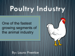 Poultry Industry - Poultry Info 101