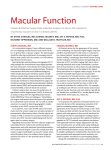 Macular Function