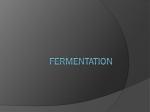 Fermentation - Peoria Public Schools