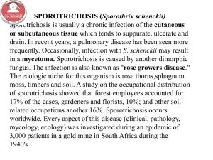 Lecture 15- Medical Mycology