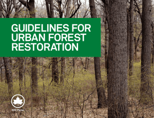 guidelines for urban forest restoration