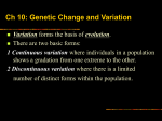 Ch 10: Genetic Change and Variation