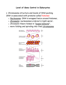 Genetic Controls in Eukaryotes