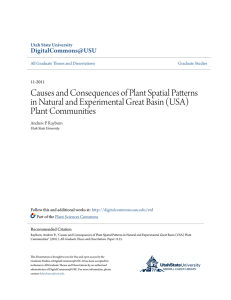 Causes and Consequences of Plant Spatial Patterns in Natural and