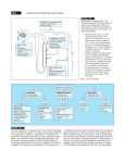 Disorders of Water, Electrolytes, and Acid-Base