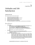 VALUES, ATTITUDES, AND JOB SATISFACTION
