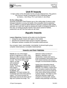 Unit IV Insects Aquatic Insects